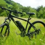 Eleglide Mopride Plus 1 – 250W 36V Electric Bike - Image 3